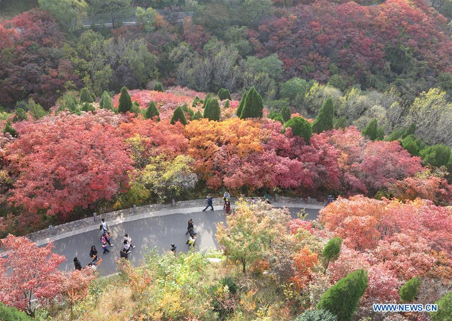 CHINA-JINAN-AUTUMN SCENERY (CN)