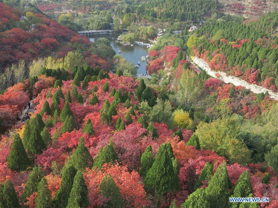 CHINA-JINAN-AUTUMN SCENERY (CN)