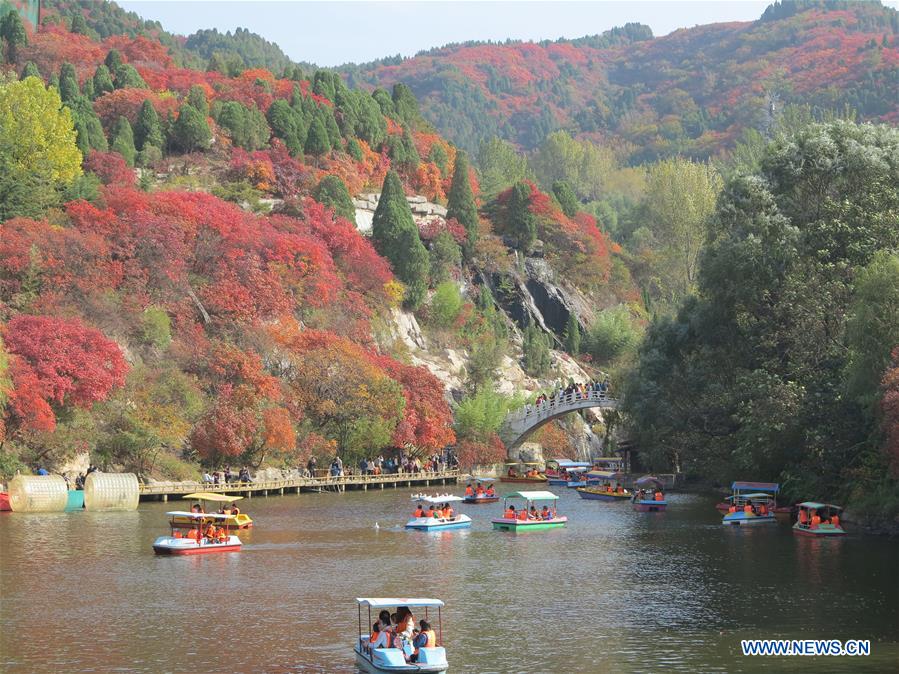 CHINA-JINAN-AUTUMN SCENERY (CN)