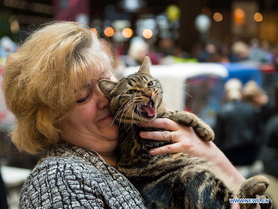 LITHUANIA-VILNIUS-CAT SHOW