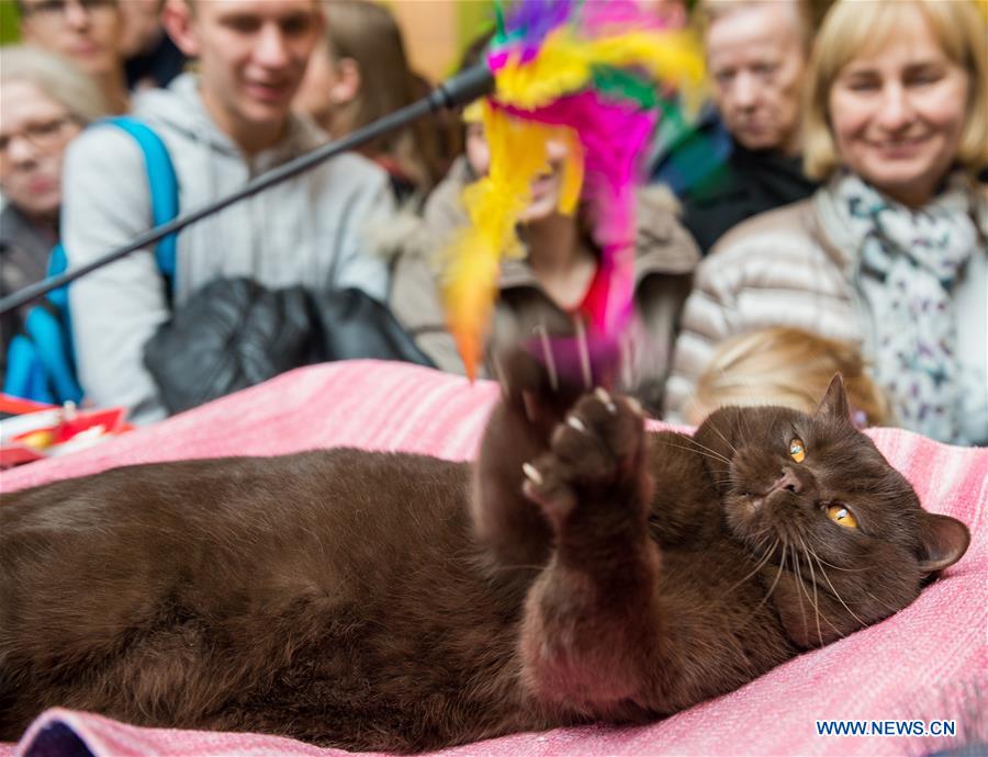 LITHUANIA-VILNIUS-CAT SHOW