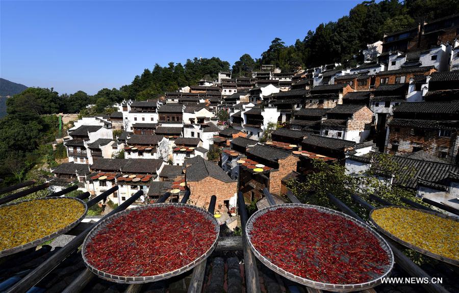 CHINA-JIANGXI-WUYUAN-AUTUMN HARVEST (CN)