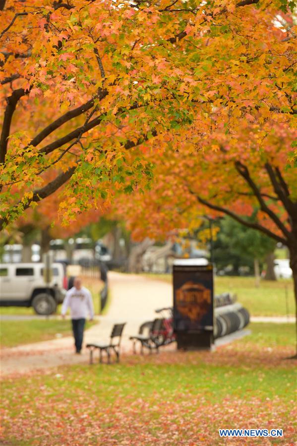U.S.-WASHINGTON D.C.-AUTUMN-LANDSCAPE