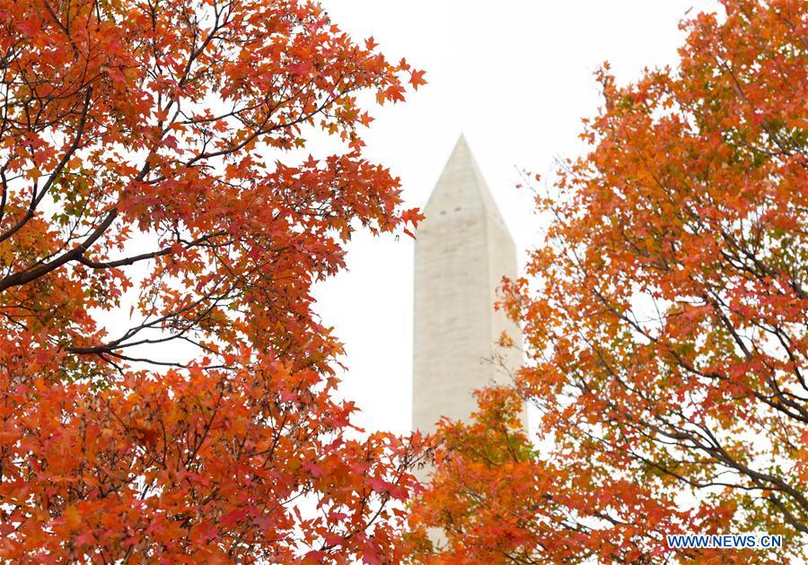 U.S.-WASHINGTON D.C.-AUTUMN-LANDSCAPE