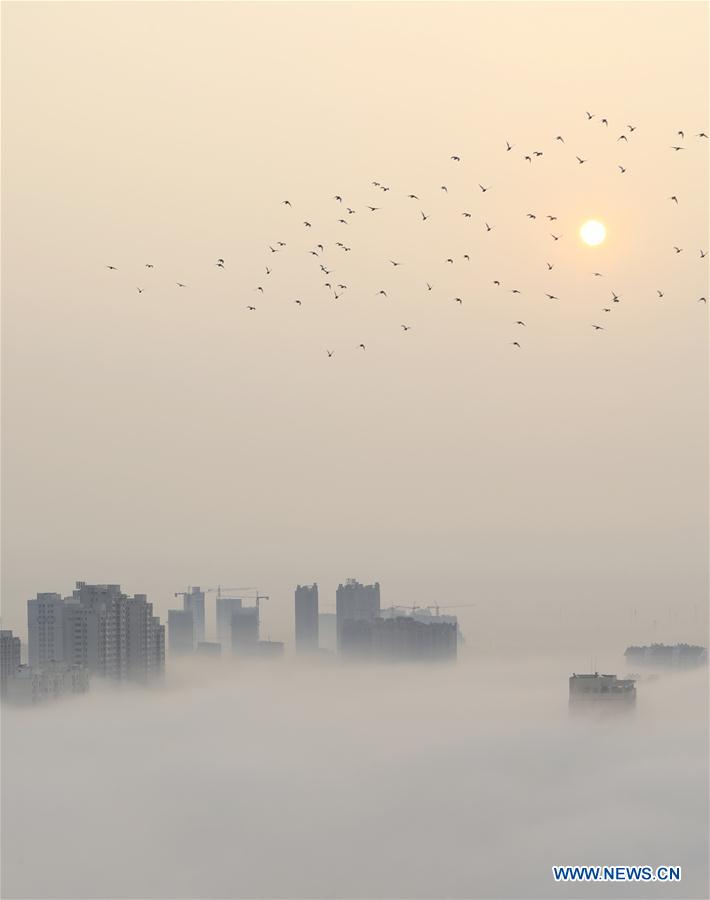 CHINA-JIANGSU-XUYI-FOG (CN)