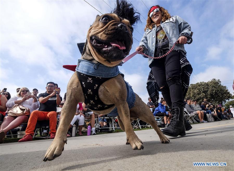 U.S.-LONG BEACH-DOG-PARADE