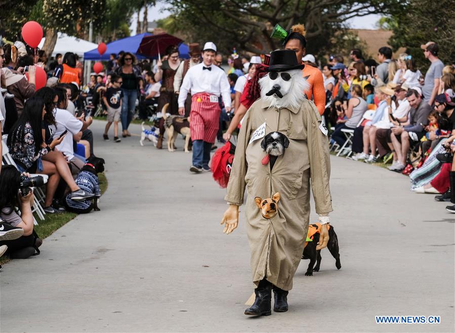 U.S.-LONG BEACH-DOG-PARADE
