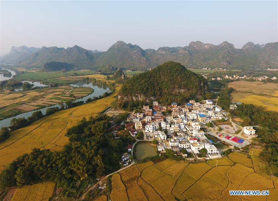 CHINA-GUANGXI-PADDY FIELD(CN)