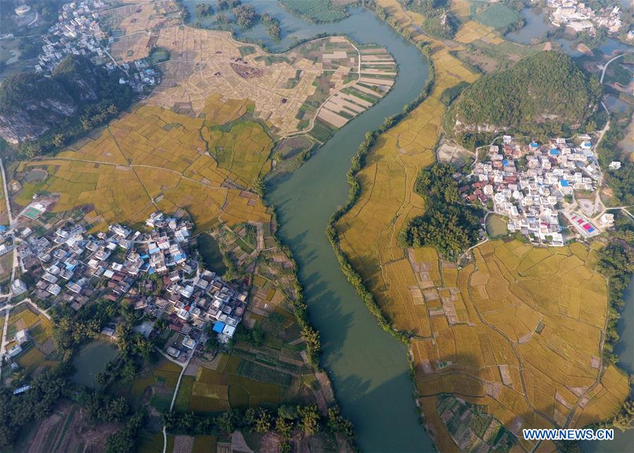 CHINA-GUANGXI-PADDY FIELD(CN)
