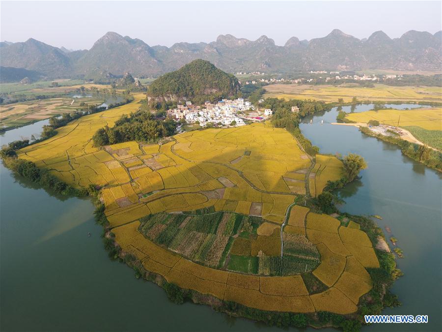CHINA-GUANGXI-PADDY FIELD(CN)