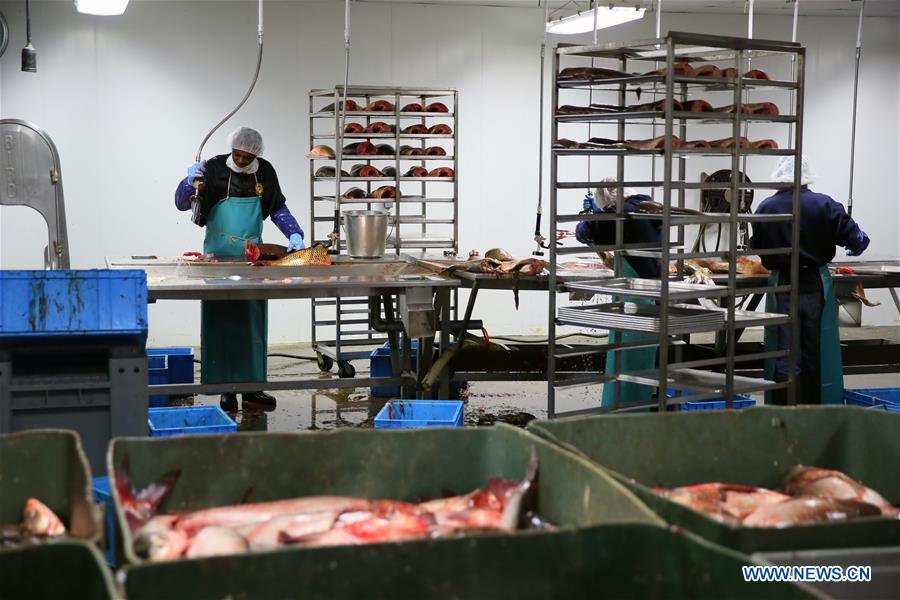 U.S.-KENTUCKY-CHINESE BUSINESS-FISHERMEN-PROSPERITY