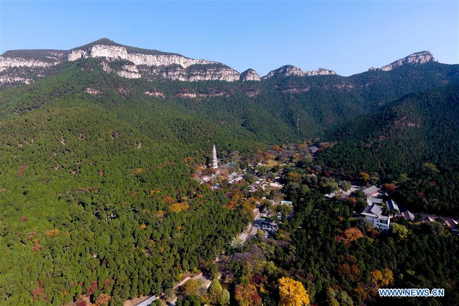 CHINA-JINAN-LINGYAN TEMPLE-AUTUMN SCENERY (CN)
