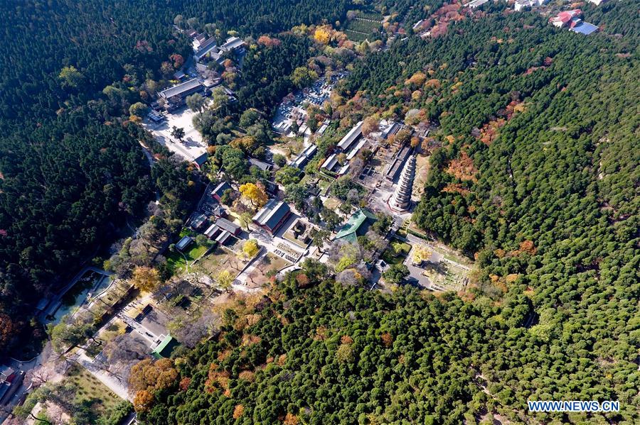CHINA-JINAN-LINGYAN TEMPLE-AUTUMN SCENERY (CN)