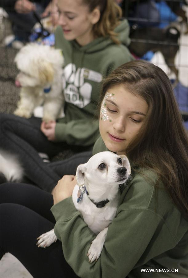 CANADA-VANCOUVER-DOG-ADOPTION