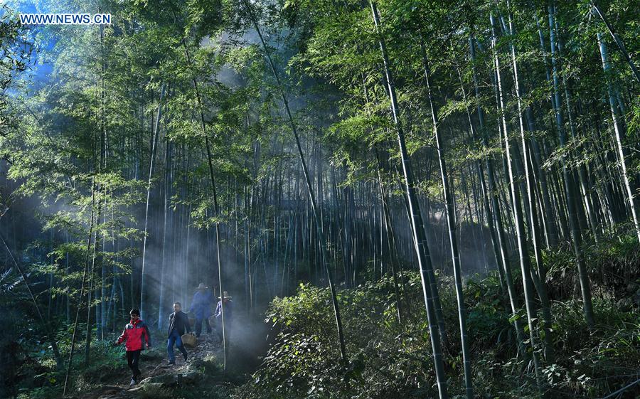 CHINA-ANHUI-SHUCHENG-VILLAGE-SCENERY(CN)