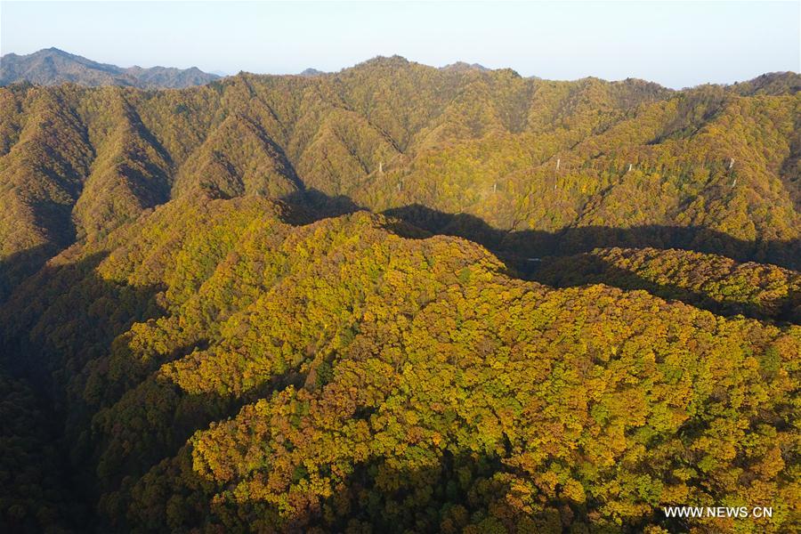 CHINA-SHAANXI-QINLING MOUNTAINS-SCENERY(CN)