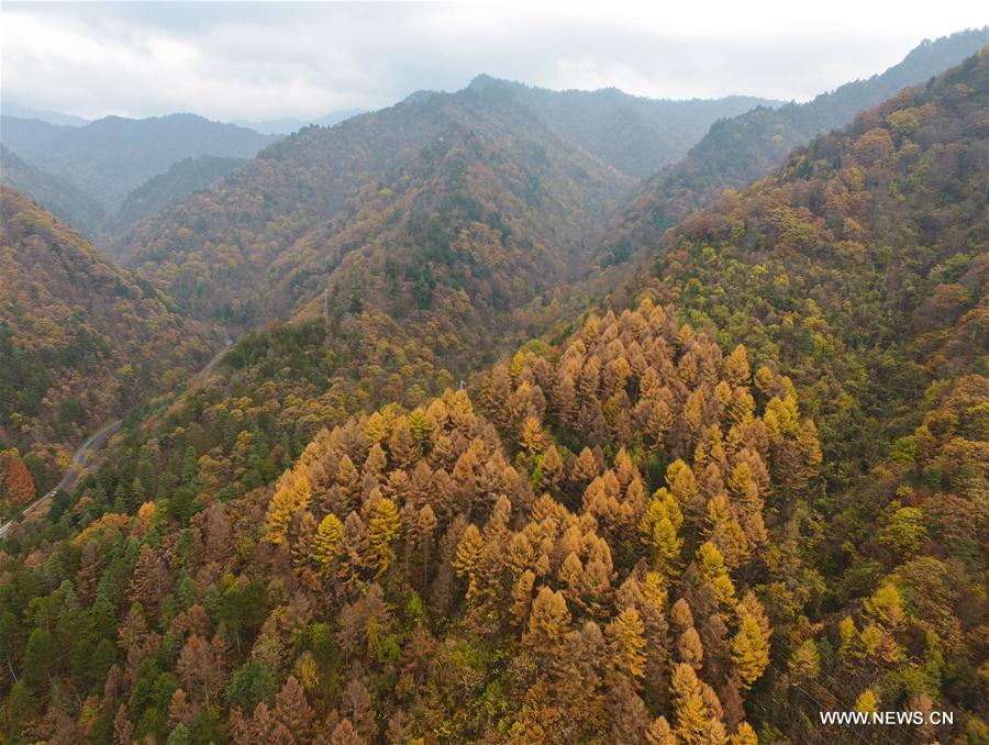 CHINA-SHAANXI-QINLING MOUNTAINS-SCENERY(CN)