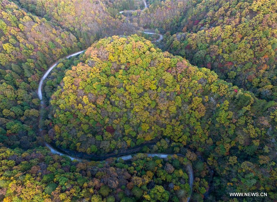 CHINA-SHAANXI-QINLING MOUNTAINS-SCENERY(CN)