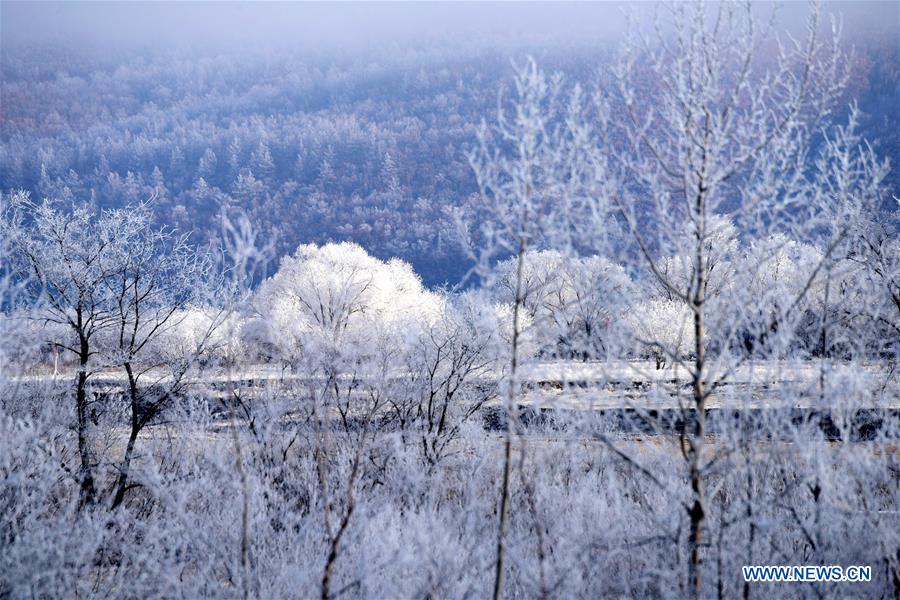 #CHINA-HEILONGJIANG-HUMA-RIME (CN)