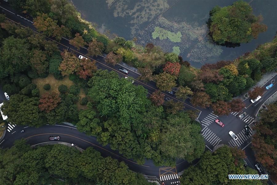 CHINA-HANGZHOU-WEST LAKE-AUTUMN SCENERY (CN)