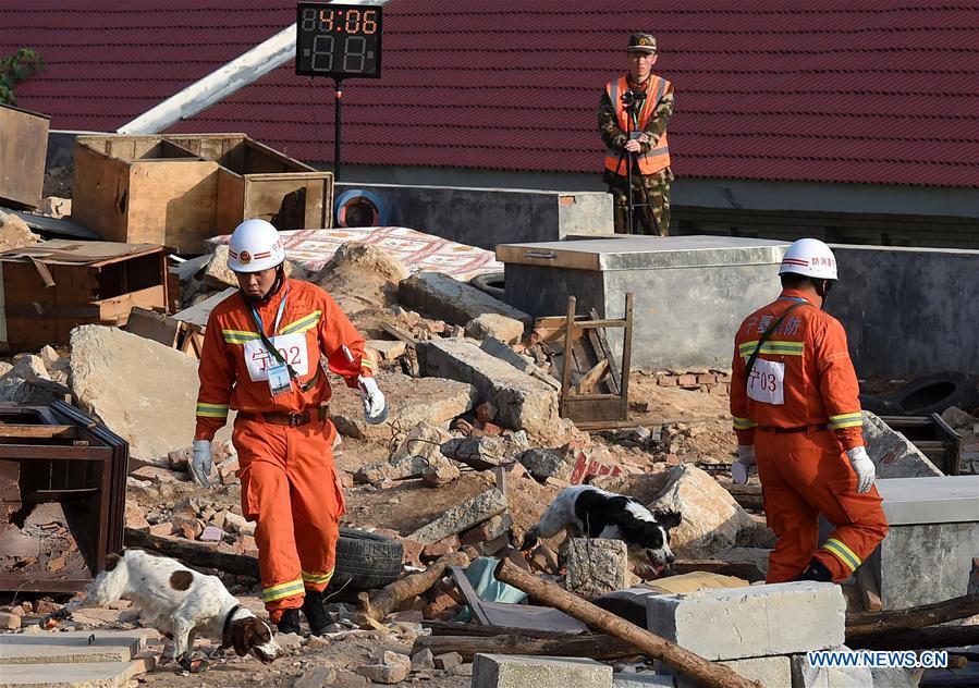 CHINA-JINAN-DRILL-SNIFFER DOG (CN)