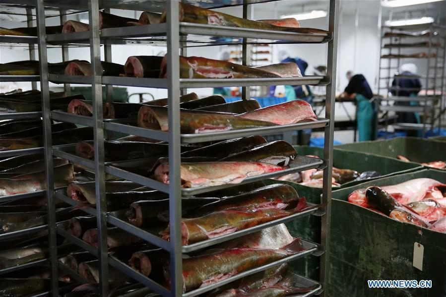 U.S.-WICKLIFFE-FISHING INDUSTRY-CHINESE BUSINESS-PROSPERITY