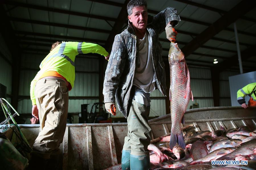 U.S.-WICKLIFFE-FISHING INDUSTRY-CHINESE BUSINESS-PROSPERITY