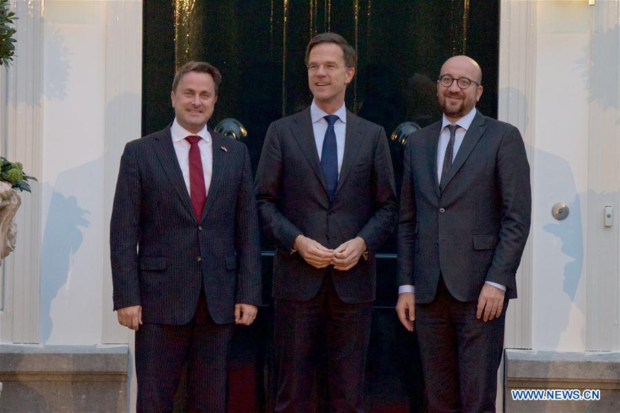 THE NETHERLANDS-THE HAGUE-BENELUX SUMMIT-CROSS-BORDER CRIME