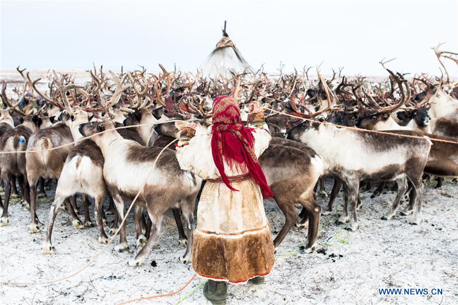 RUSSIA-SALEKHARD-DAILY LIFE-NENETS
