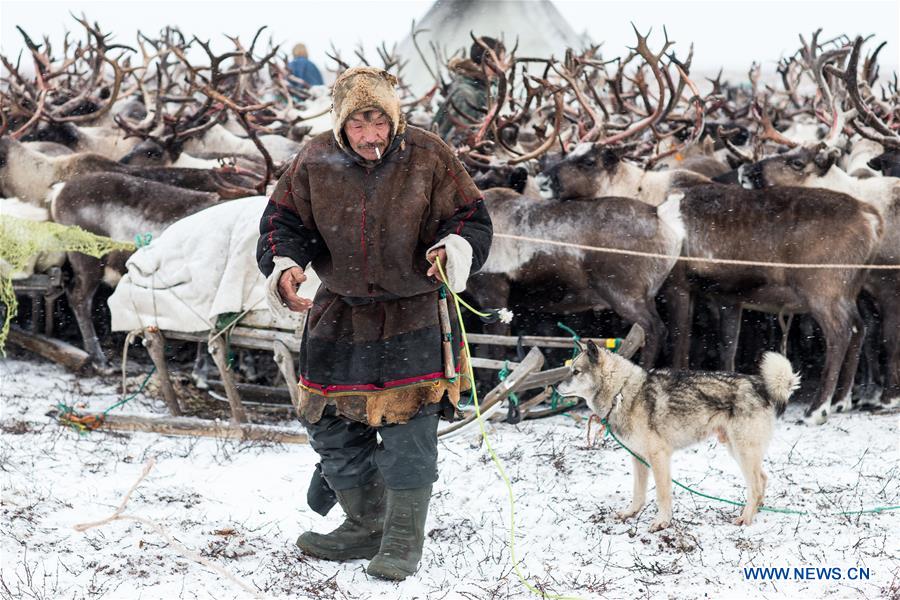 RUSSIA-SALEKHARD-DAILY LIFE-NENETS