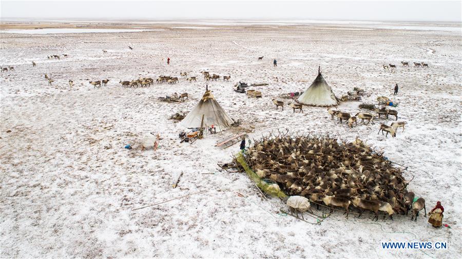 RUSSIA-SALEKHARD-DAILY LIFE-NENETS
