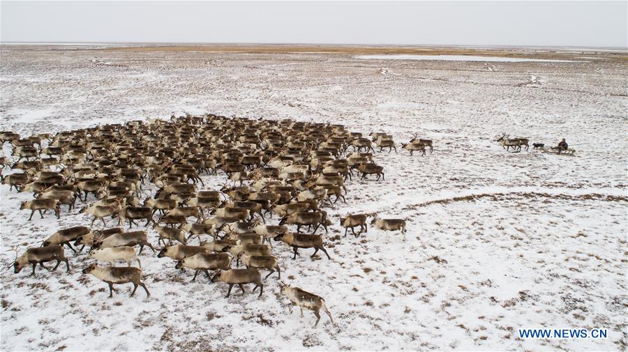 RUSSIA-SALEKHARD-DAILY LIFE-NENETS
