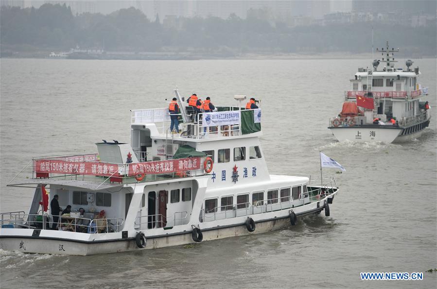 CHINA-WUHAN-ENDANGERED PORPOISES-SURVEY (CN)
