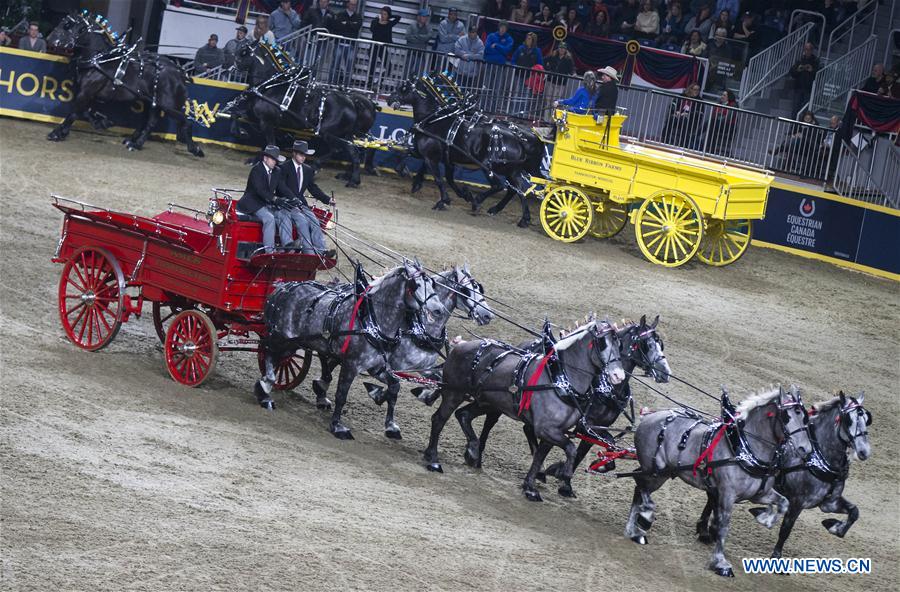 (SP)CANADA-TORONTO-ROYAL HORSE SHOW    