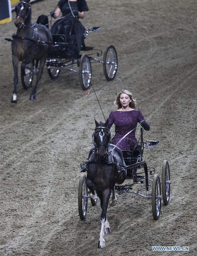(SP)CANADA-TORONTO-ROYAL HORSE SHOW    