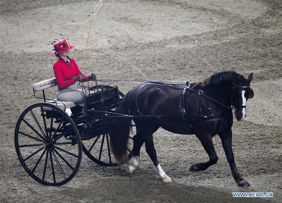 (SP)CANADA-TORONTO-ROYAL HORSE SHOW    