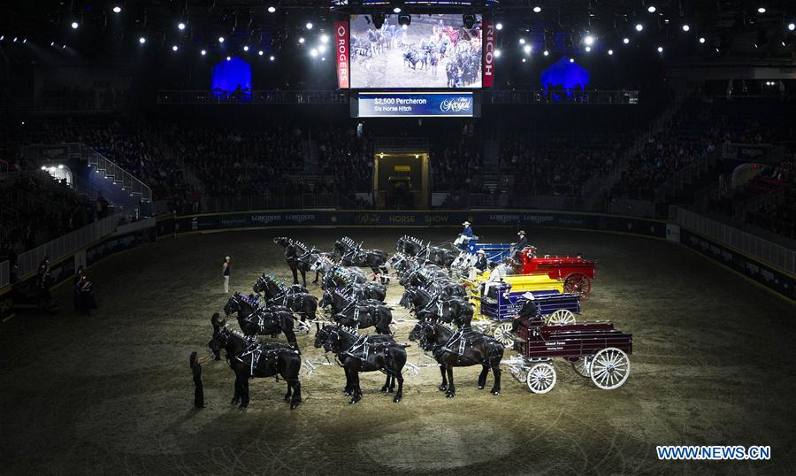(SP)CANADA-TORONTO-ROYAL HORSE SHOW    