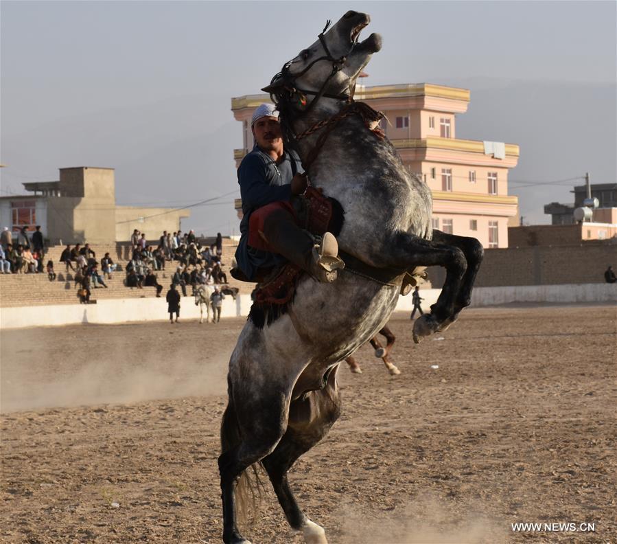 (SP)AFGHANISTAN-BALKH-BUZKASHI