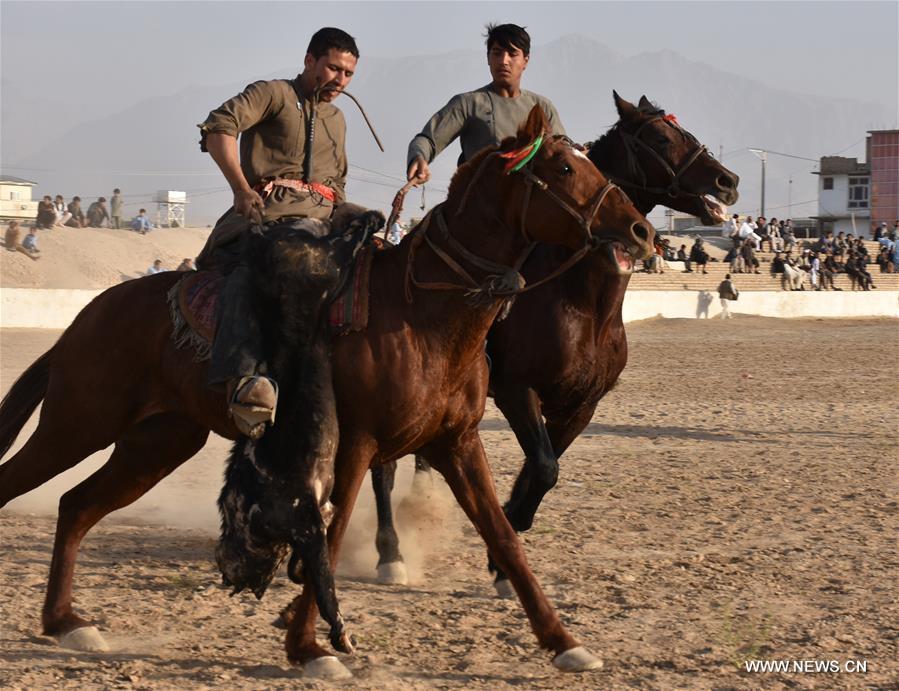 (SP)AFGHANISTAN-BALKH-BUZKASHI