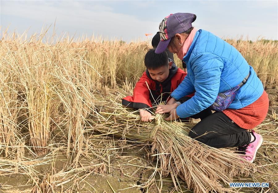 CHINA-BEIJING-FARMING-FAIR (CN)