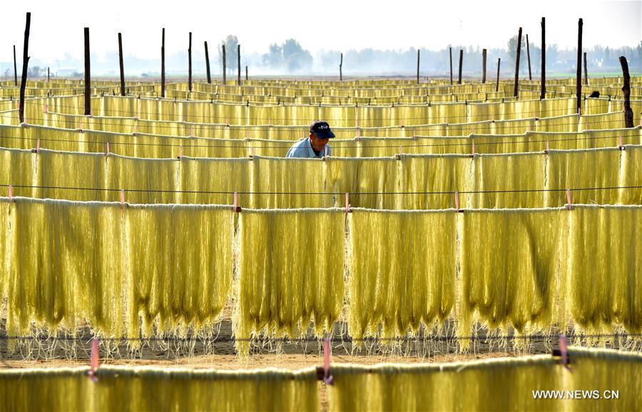 #CHINA-SHANDONG-SWEET POTATO-AIR (CN)