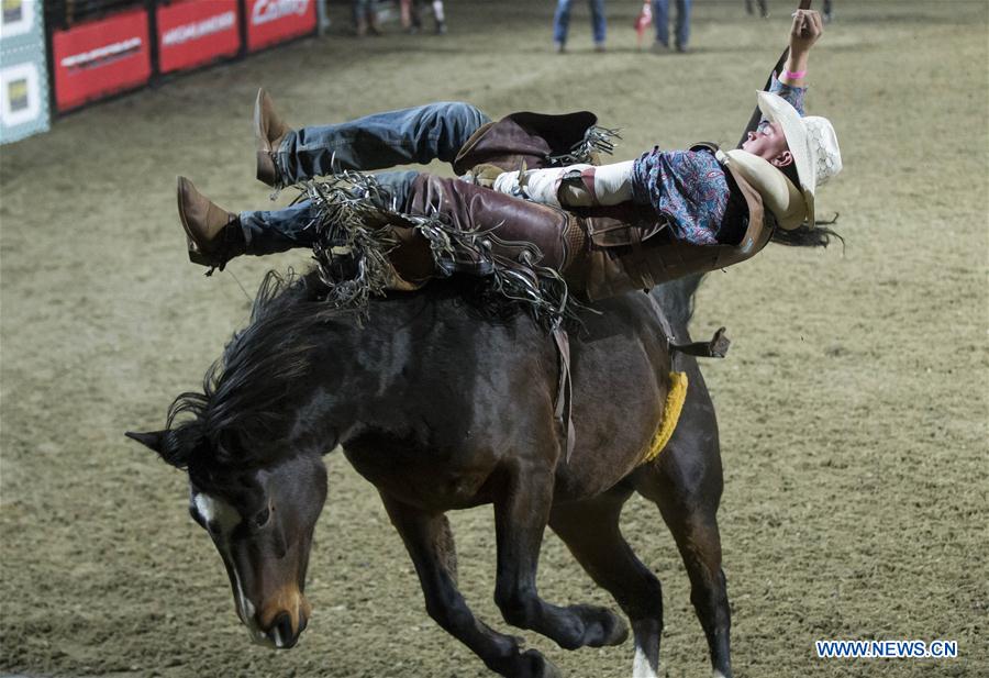 (SP)CANADA-TORONTO-ROYAL HORSE SHOW-RODEO