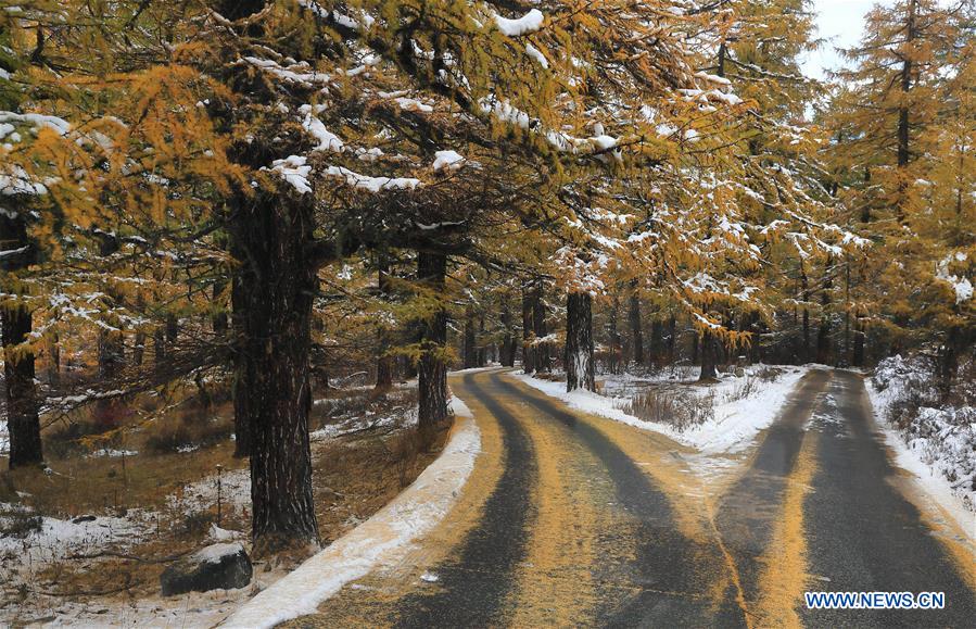 CHINA-SICHUAN-DAOCHENG-VIEWS (CN)