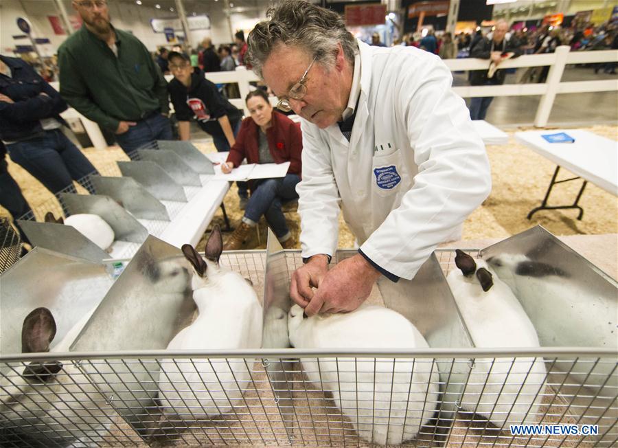 CANADA-TORONTO-AGRICULTURAL FAIR