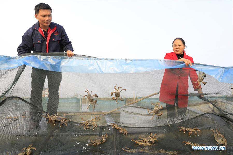 #CHINA-JIANGSU-HONGZE LAKE-CRABS (CN)