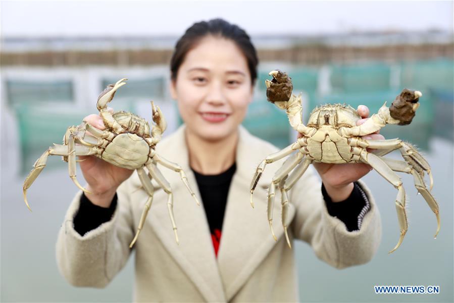 #CHINA-JIANGSU-HONGZE LAKE-CRABS (CN)