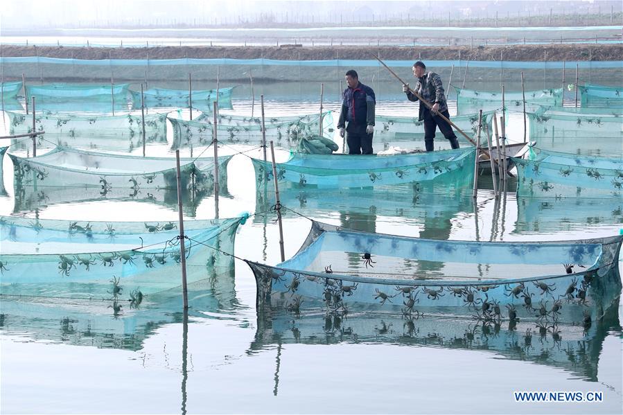 #CHINA-JIANGSU-HONGZE LAKE-CRABS (CN)