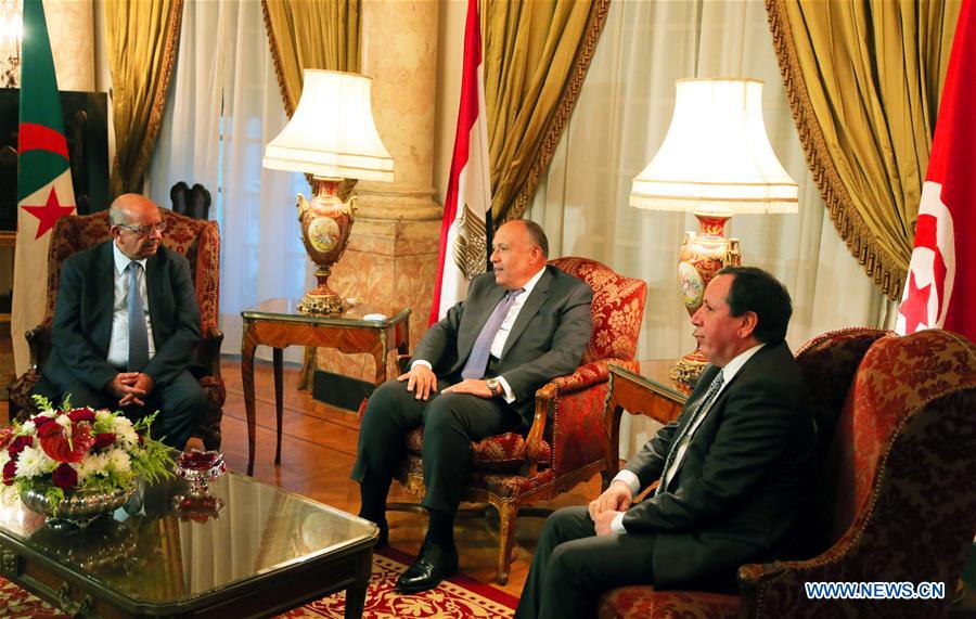 EGYPT-CAIRO-TUNISIA-ALGERIA-FM-MEETING