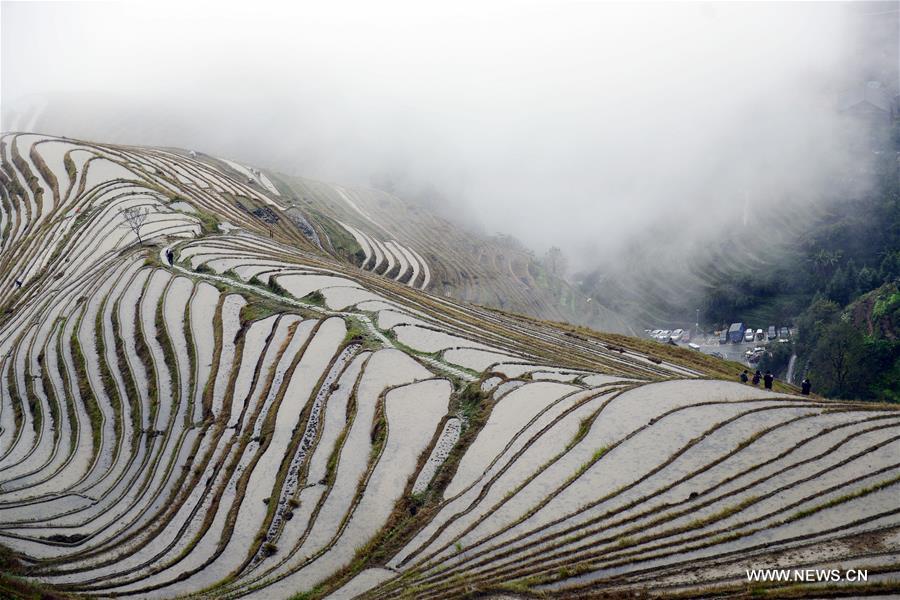 #CHINA-TERRACED FIELDS-SCENERY (CN)
