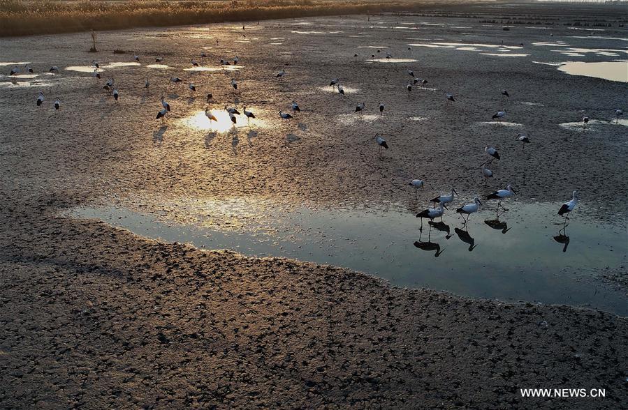 CHINA-HEBEI-CAOFEIDIAN-WETLAND (CN)